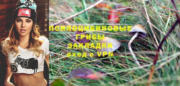 молекула духа Аркадак